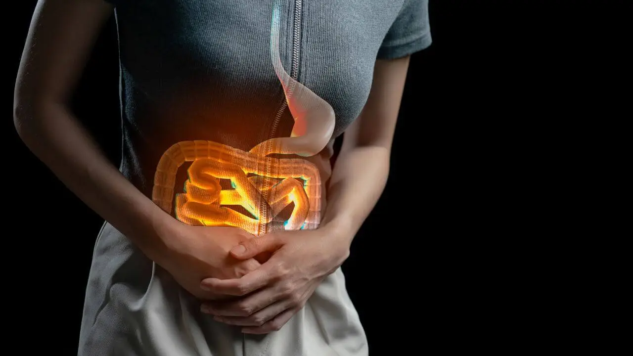 You are currently viewing Fat Burners & Diarrhea: Science Revealed