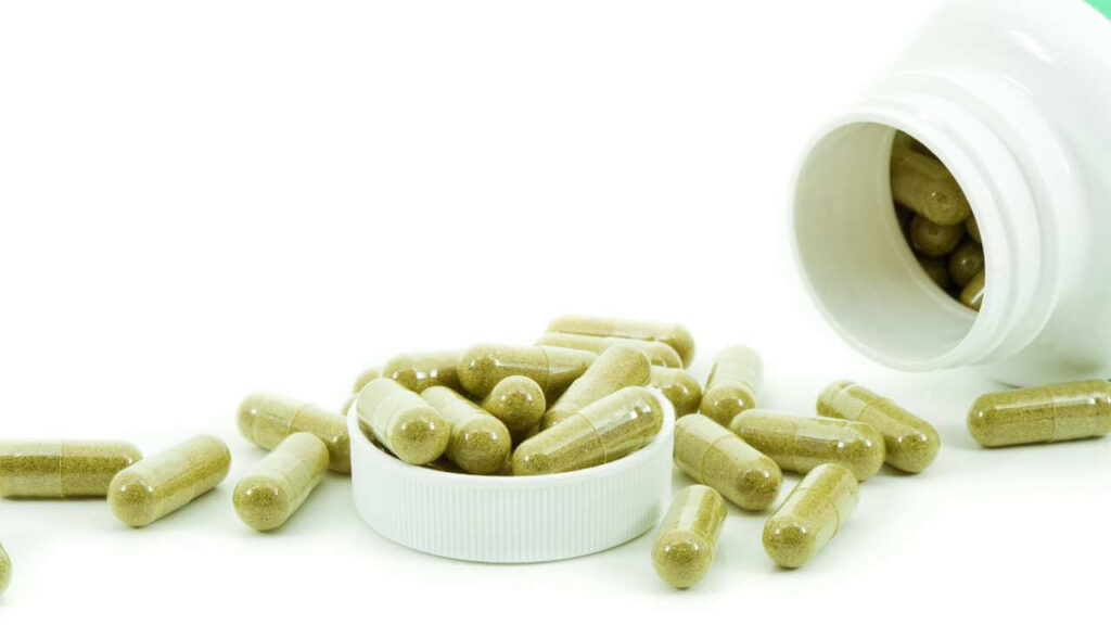 how do green tea fat burners work