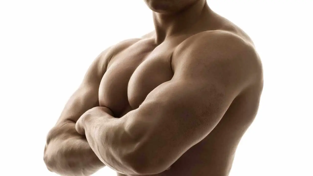 You are currently viewing What Fat Burners Do Body Builders Crush It With In 2024?