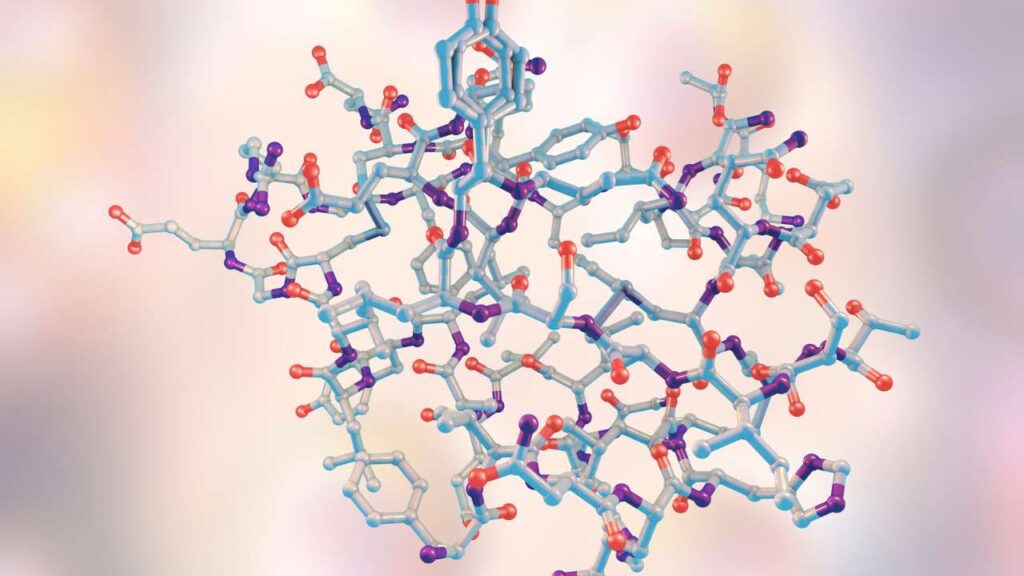 Amino Acids - The Essentials of Protein