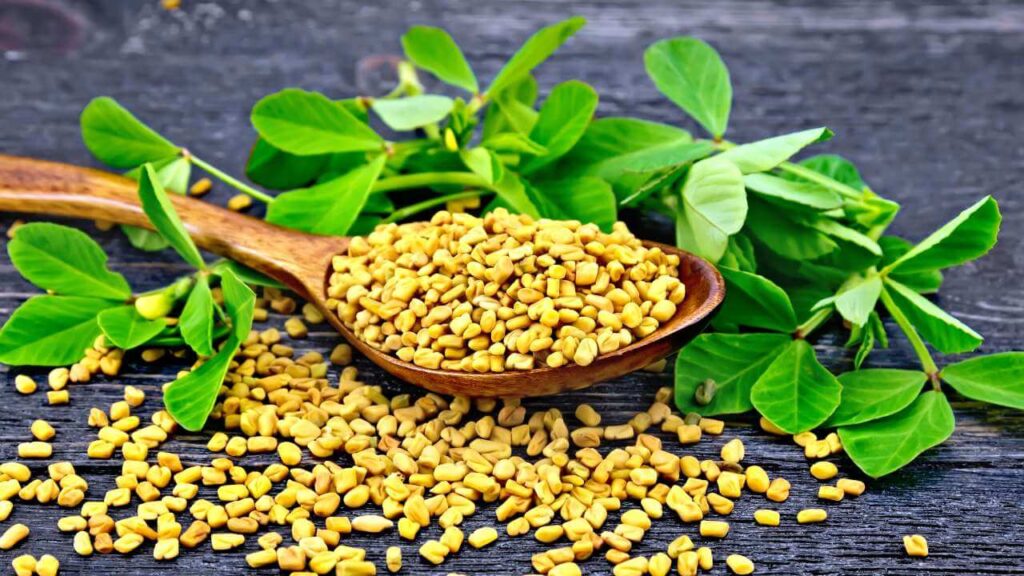 Fenugreek for weight loss